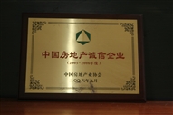 B1、中國房地產(chǎn)誠信企業(yè)2005—2006年